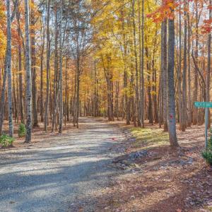 Photo #94 of 170 Fairystone Church Loop, Stuart, VA 28.8 acres