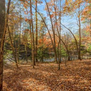 Photo #96 of 170 Fairystone Church Loop, Stuart, VA 28.8 acres