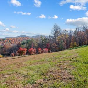 Photo #91 of 170 Fairystone Church Loop, Stuart, VA 28.8 acres