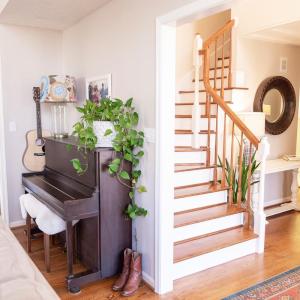 Photo #3 of 726 Lake Vista Dr, Forest, VA 0.9 acres