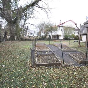 Raised Garden Beds