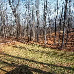 Photo #46 of 1324 Gladden Circle, Forest, VA 1.1 acres