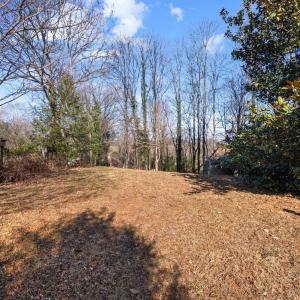 Photo #50 of 119 Briarwood Street, Lynchburg, VA 0.4 acres