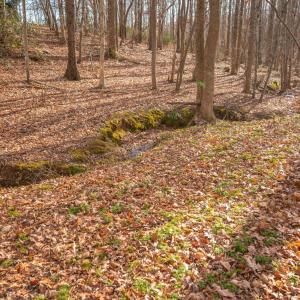 Photo #58 of 144 Armistead Lane, Rustburg, VA 1.7 acres