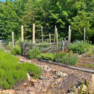 Photo #69 of 1494 Buffalo Mill Road, Evington, VA 4.5 acres