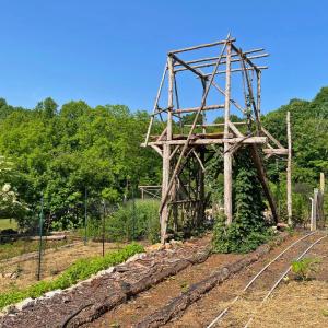 Photo #67 of 1494 Buffalo Mill Road, Evington, VA 4.5 acres