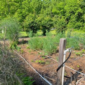 Photo #71 of 1494 Buffalo Mill Road, Evington, VA 4.5 acres