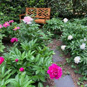 Photo #68 of 3 Riverview Place, Lynchburg, VA 0.1 acres