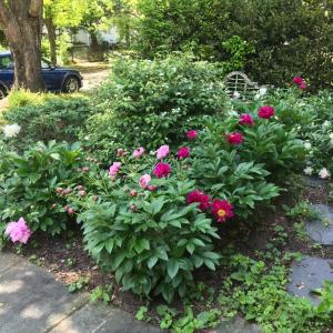 Photo #67 of 3 Riverview Place, Lynchburg, VA 0.1 acres