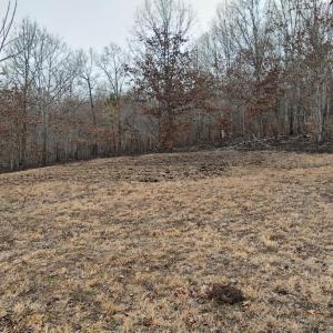 Photo #49 of 4183 TYE RIVER Road, Amherst, VA 5.0 acres