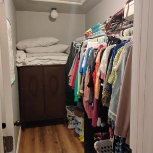 MASTER BEDROOM WALK-IN CLOSET