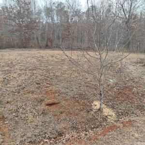 Photo #62 of 4183 TYE RIVER Road, Amherst, VA 5.0 acres