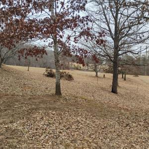 Photo #58 of 4183 TYE RIVER Road, Amherst, VA 5.0 acres