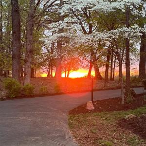 Photo #55 of 1598 Kenmar Drive, Bedford, VA 3.3 acres