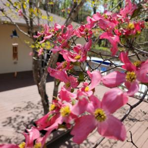 Photo #56 of 1598 Kenmar Drive, Bedford, VA 3.3 acres