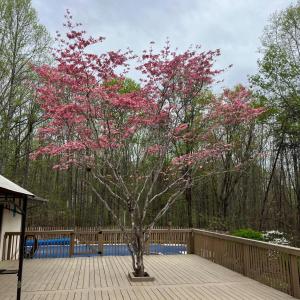 Photo #57 of 1598 Kenmar Drive, Bedford, VA 3.3 acres