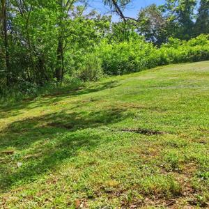 Photo #38 of 10662 Lee Jackson Hwy., Big Island, VA 0.7 acres