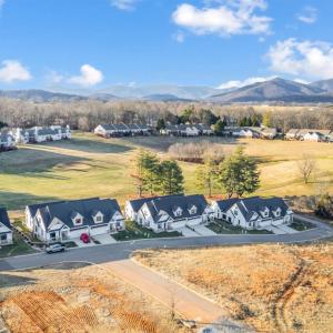 Photo #51 of 1132 Titleist Drive, Forest, VA 0.2 acres