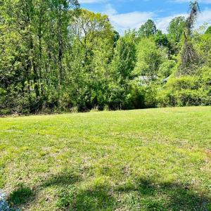 Photo #22 of 1711 TEXAS AVENUE, Lynchburg, VA 0.3 acres