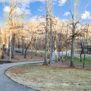 Photo #80 of 109 Hickory Winds Court, Forest, VA 1.3 acres