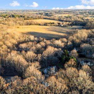 Photo #79 of 109 Hickory Winds Court, Forest, VA 1.3 acres