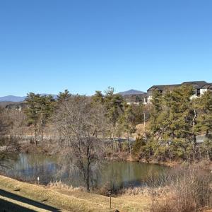 Photo #41 of 1209 Valley Vista Lane, Forest, VA 0.1 acres