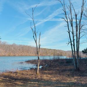 Photo #60 of 507 Faith Cove Drive, Sandy Level, VA 10.0 acres