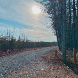 Photo #50 of 507 Faith Cove Drive, Sandy Level, VA 10.0 acres