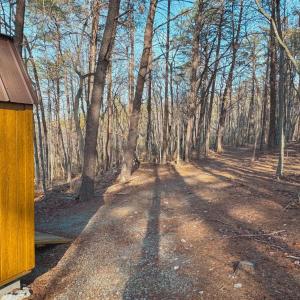 Photo #48 of 507 Faith Cove Drive, Sandy Level, VA 10.0 acres