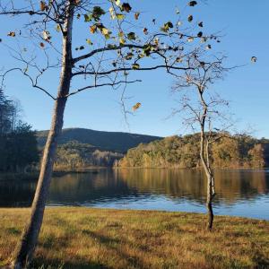 Photo #71 of 507 Faith Cove Drive, Sandy Level, VA 10.0 acres