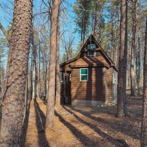 Photo #17 of 507 Faith Cove Drive, Sandy Level, VA 10.0 acres