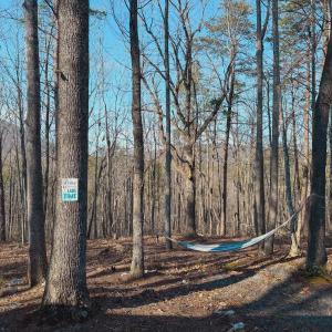 Photo #12 of 507 Faith Cove Drive, Sandy Level, VA 10.0 acres