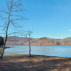 Photo #58 of 507 Faith Cove Drive, Sandy Level, VA 10.0 acres