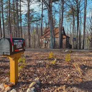 Photo #55 of 507 Faith Cove Drive, Sandy Level, VA 10.0 acres