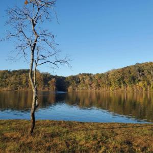 Photo #70 of 507 Faith Cove Drive, Sandy Level, VA 10.0 acres
