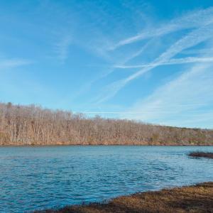 Photo #62 of 507 Faith Cove Drive, Sandy Level, VA 10.0 acres