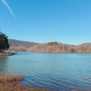 Photo #66 of 507 Faith Cove Drive, Sandy Level, VA 10.0 acres