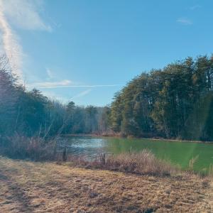Photo #65 of 507 Faith Cove Drive, Sandy Level, VA 10.0 acres