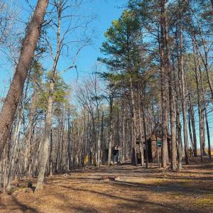 Photo #16 of 507 Faith Cove Drive, Sandy Level, VA 10.0 acres