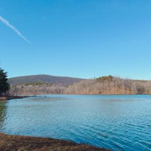 Photo #63 of 507 Faith Cove Drive, Sandy Level, VA 10.0 acres