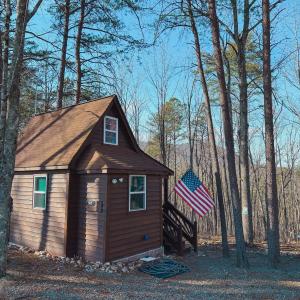 Photo #9 of 507 Faith Cove Drive, Sandy Level, VA 10.0 acres