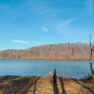 Photo #59 of 507 Faith Cove Drive, Sandy Level, VA 10.0 acres