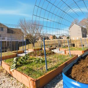 Photo #53 of 111 London Downs Drive, Forest, VA 0.5 acres