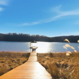 Photo #50 of 209 Leesville Lake Court, Pittsville, VA 5.4 acres