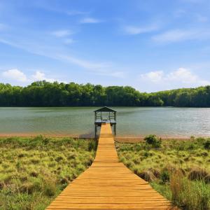 Photo #44 of 209 Leesville Lake Court, Pittsville, VA 5.4 acres