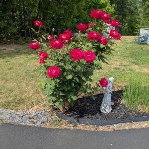 Photo #75 of 2386 Red House Road, Rustburg, VA 3.4 acres