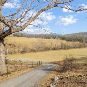 Photo #50 of 1509 Tolley Meadow Road, Big Island, VA 30.8 acres