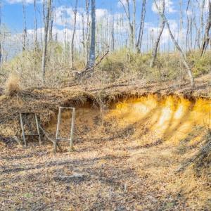 Photo #75 of 1509 Tolley Meadow Road, Big Island, VA 30.8 acres