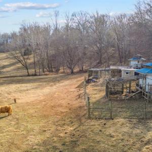 Photo #73 of 1509 Tolley Meadow Road, Big Island, VA 30.8 acres