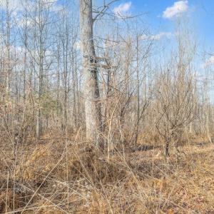 Photo #62 of 1509 Tolley Meadow Road, Big Island, VA 30.8 acres